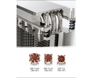 Noctua