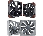 noctua