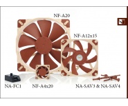 Noctua