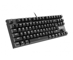Genesis Thor 300 TKL – test klawiatury