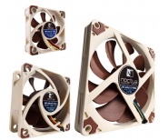 noctua nh-c14