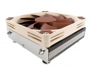 Noctua