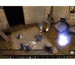 Neverwinter Nights demo