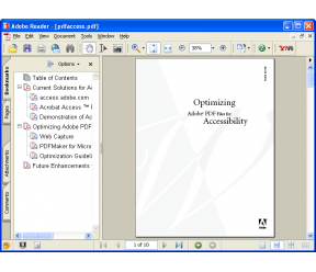 Adobe Reader 6.02