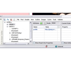 Internet Explorer Developer Toolbar 1.00.2188
