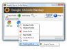 Google Chrome Backup 1.8.0.141