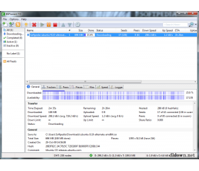 BitTorrent 7.2.1 Build 25273