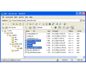 WinSCP Portable 5.1.4