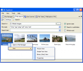 SE-Explorer 0.0.30.600