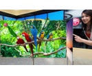 55-calowy TV OLED od LG