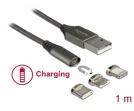 Delock: magnetyczny zestaw kabli USB