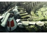 Poznaliśmy datę premiery Assassin's Creed Brotherhood na PC