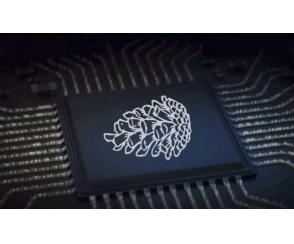 Xiaomi Pinecone V970 i V670 - nowe układy