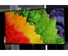 LG prezentuje TV OLED 55 cali za 7900 USD