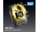 Nowe dyski twarde WD Re+ zapewniają 6 TB przestrzeni
