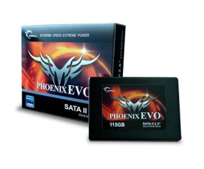 G.Skill 115GB Phoenix EVO SSD