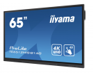 Wiosenne nowości w ofercie iiyama. Nowe monitory i akcesoria