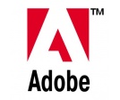 Raport Adobe o zarobkach