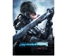 Gameplay z Metal Gear Rising: Revengeance