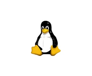 Kampania reklamowa Linux'a rusza