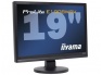 19 dotykowych cali Wide IIYAMA PROLITE E1908WSV-B1
