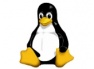 Kampania reklamowa Linux'a rusza
