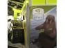 NVIDIA Gelato, czyli szybki rendering