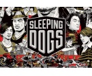 Wymagania sprzętowe Sleeping Dogs