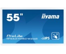 Dotykowy monitor iiyama TF5537MSC-W2AG