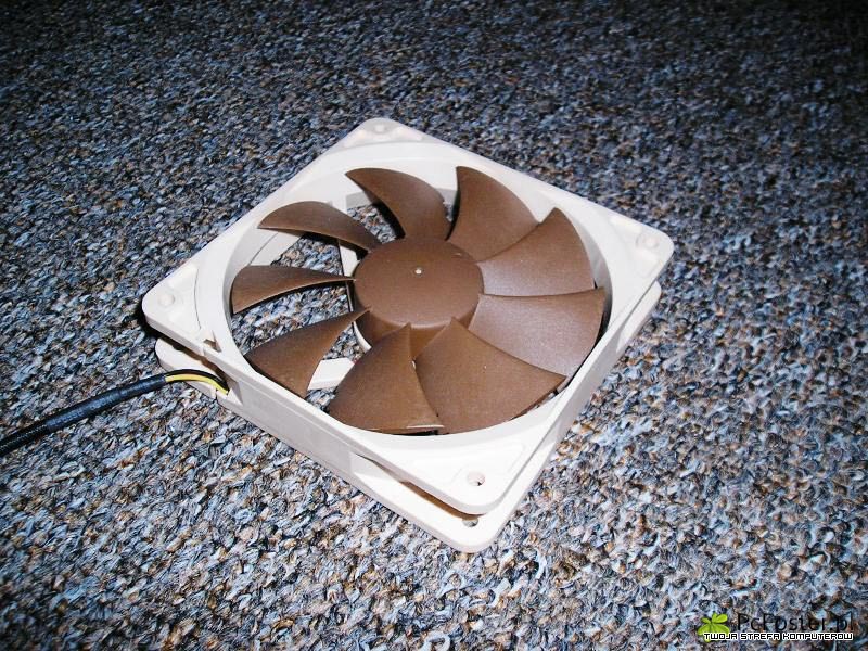 Noctua NF-P12