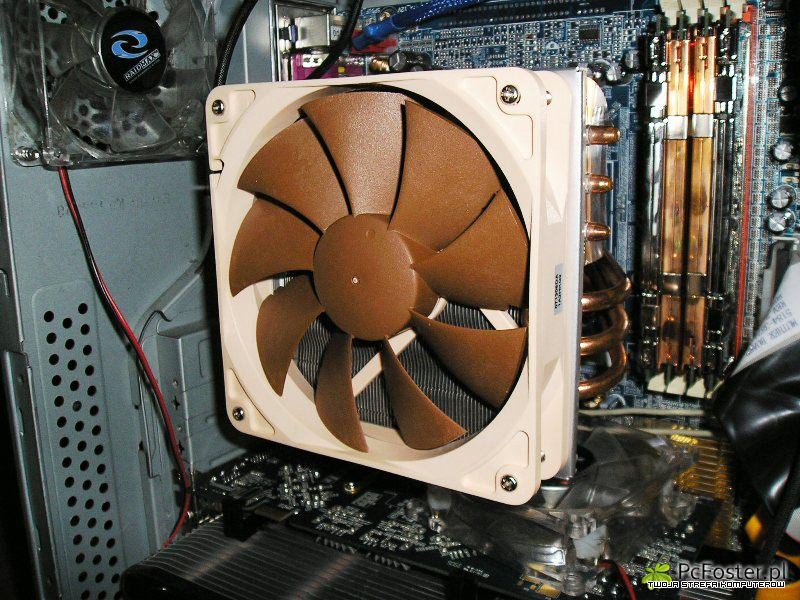 Noctua NF-P12