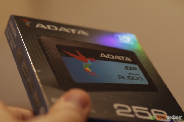 ADATA SU800