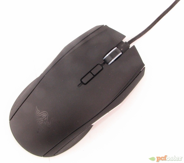 Razer Taipan