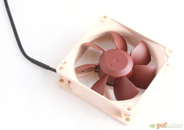 Noctua NF-R8 PWM