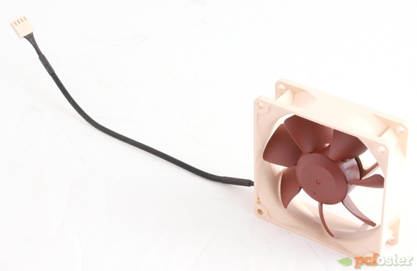 Noctua NF-R8 PWM